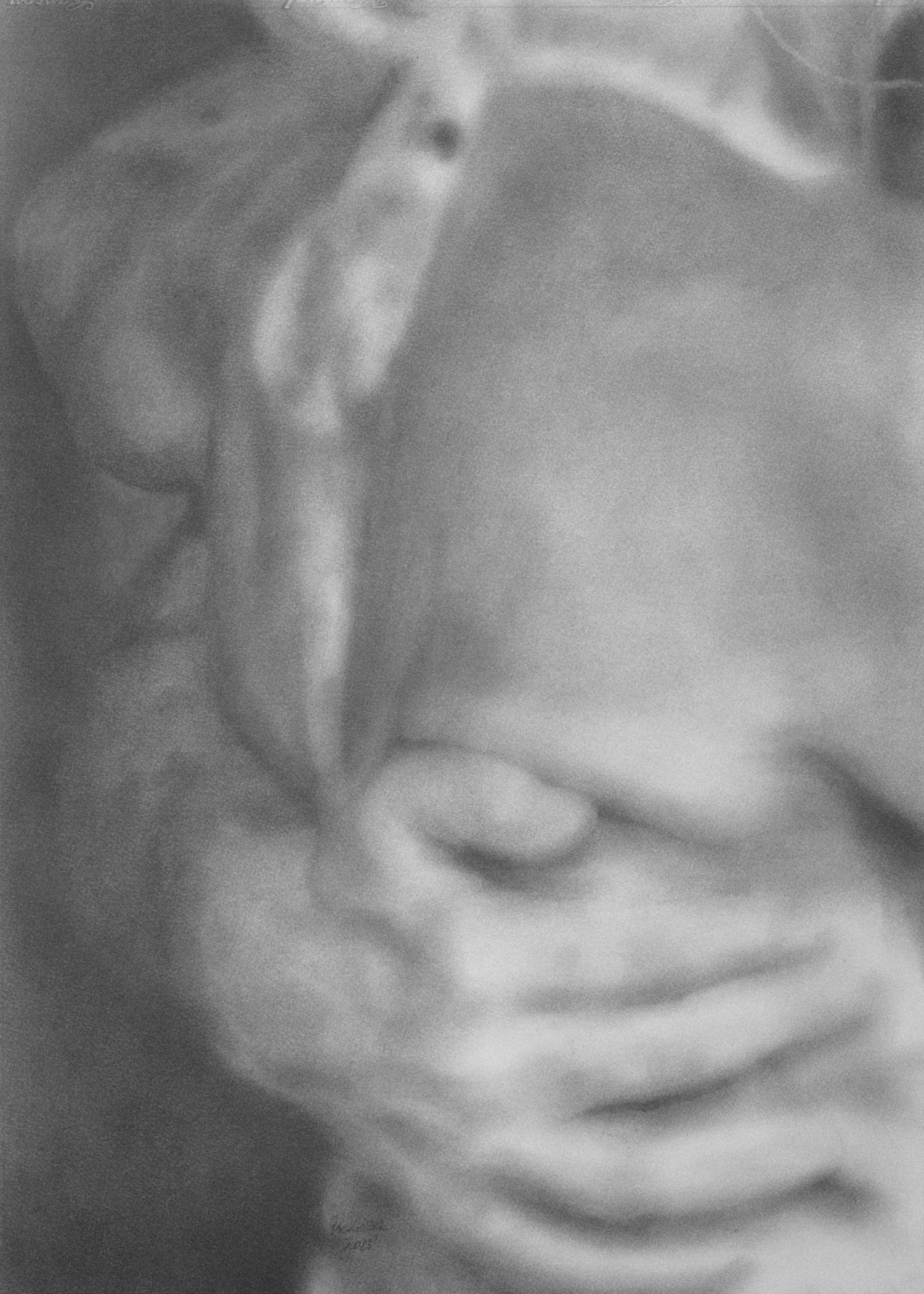 reiner packeiser painting tango